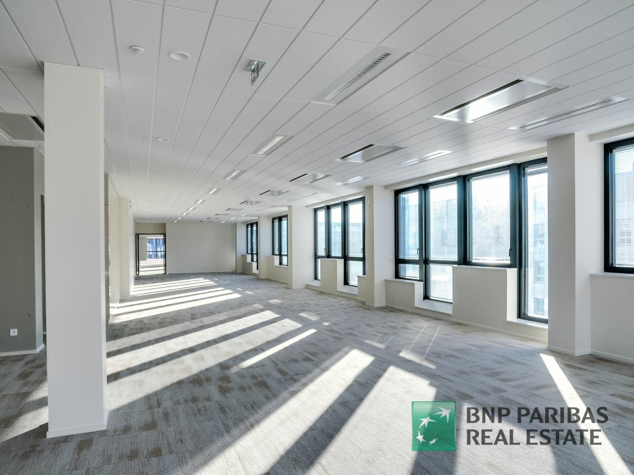 Bureau Lyon 1735m² Location bureau Lyon Rhône OLBUR2202122 9